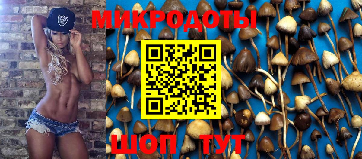 Хабаровск  Галлюциногенные грибы MAGIC MUSHROOMS  Вход с VPN 