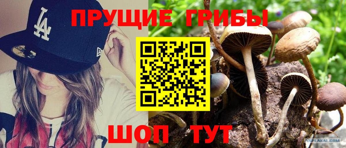 Псилоцибиновые грибы ЛСД Хабаровск